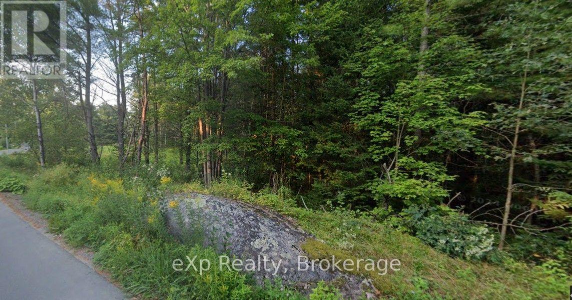 1003 Silver Lake Road Property Photo 6