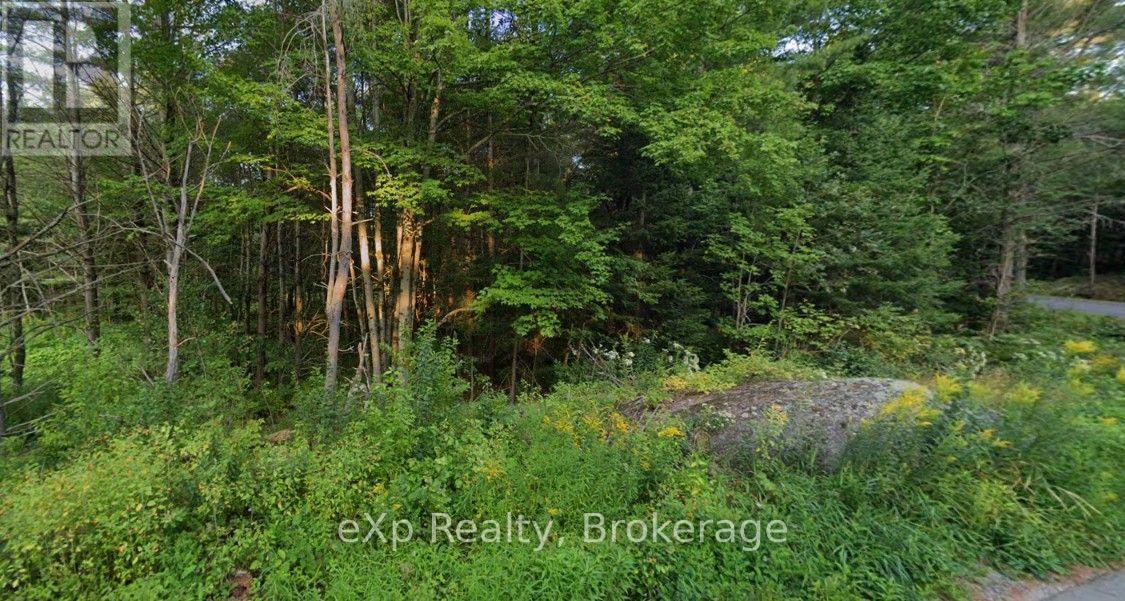 1003 Silver Lake Road Property Photo 7