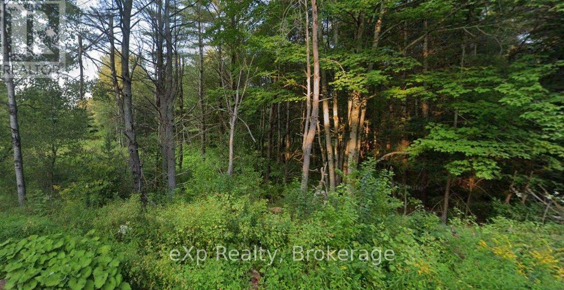 1003 Silver Lake Road Property Photo 8
