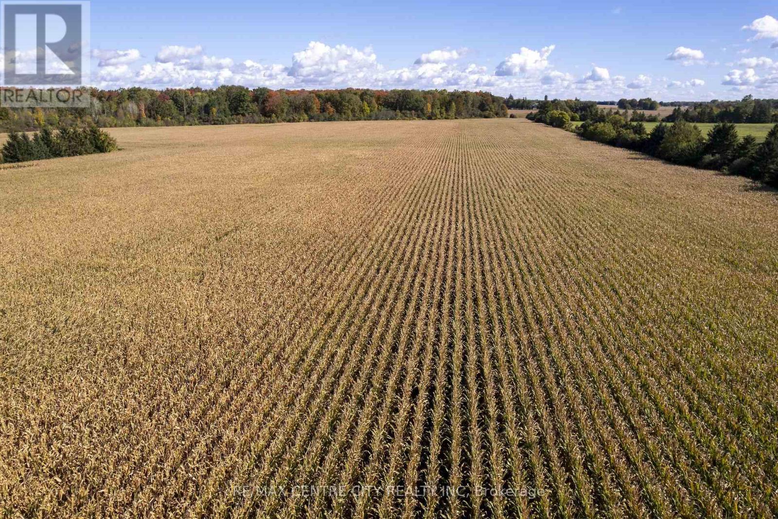 20952 Rebecca Road Property Photo 5