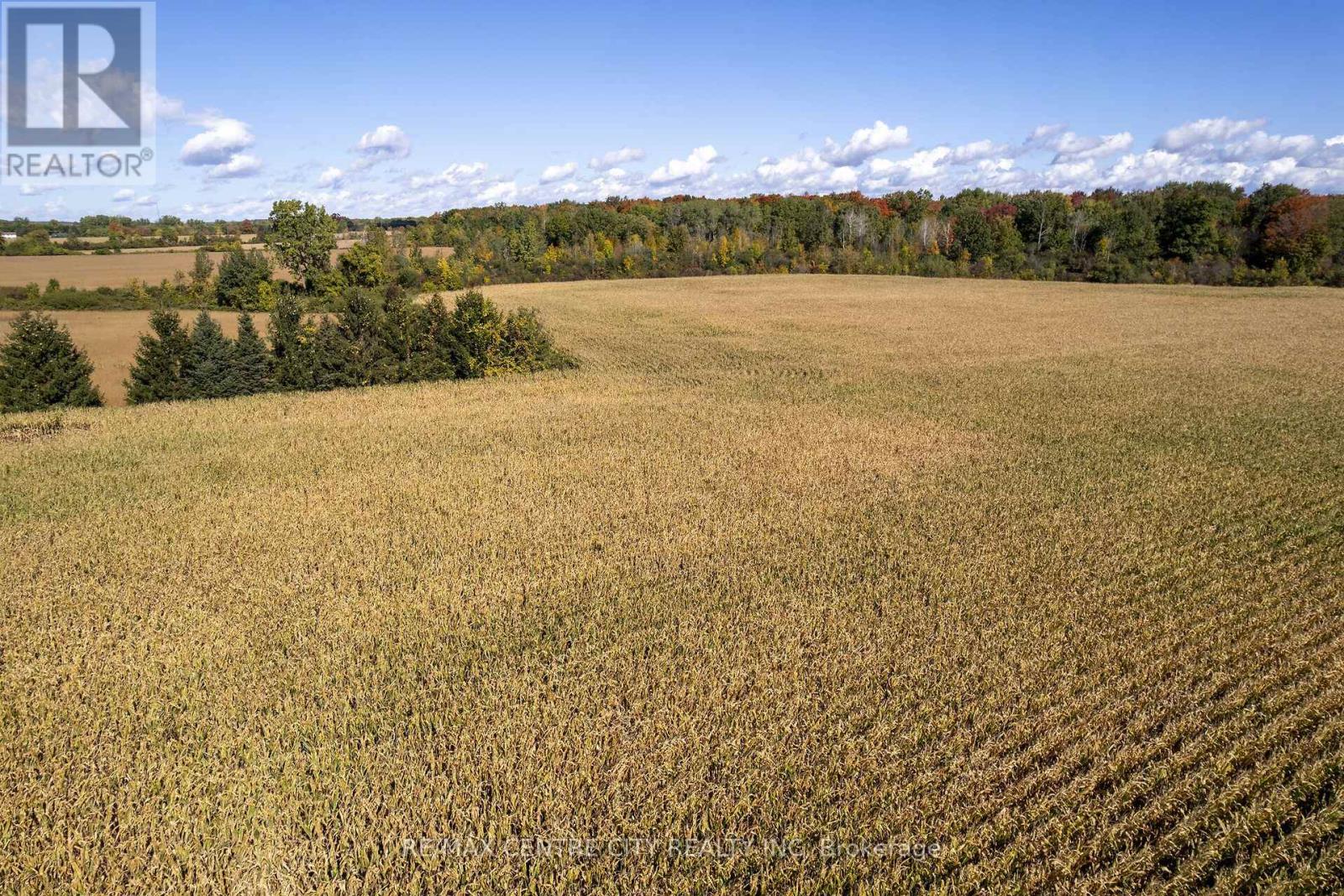 20952 Rebecca Road Property Photo 6