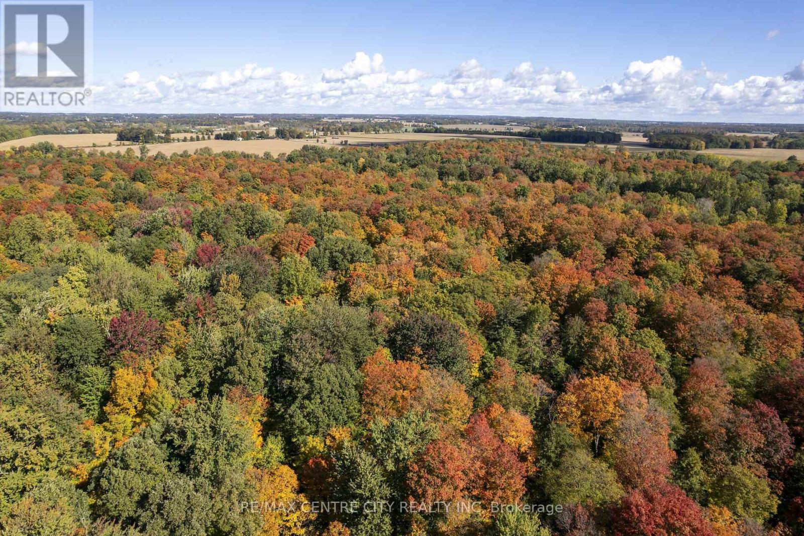 20952 Rebecca Road Property Photo 9