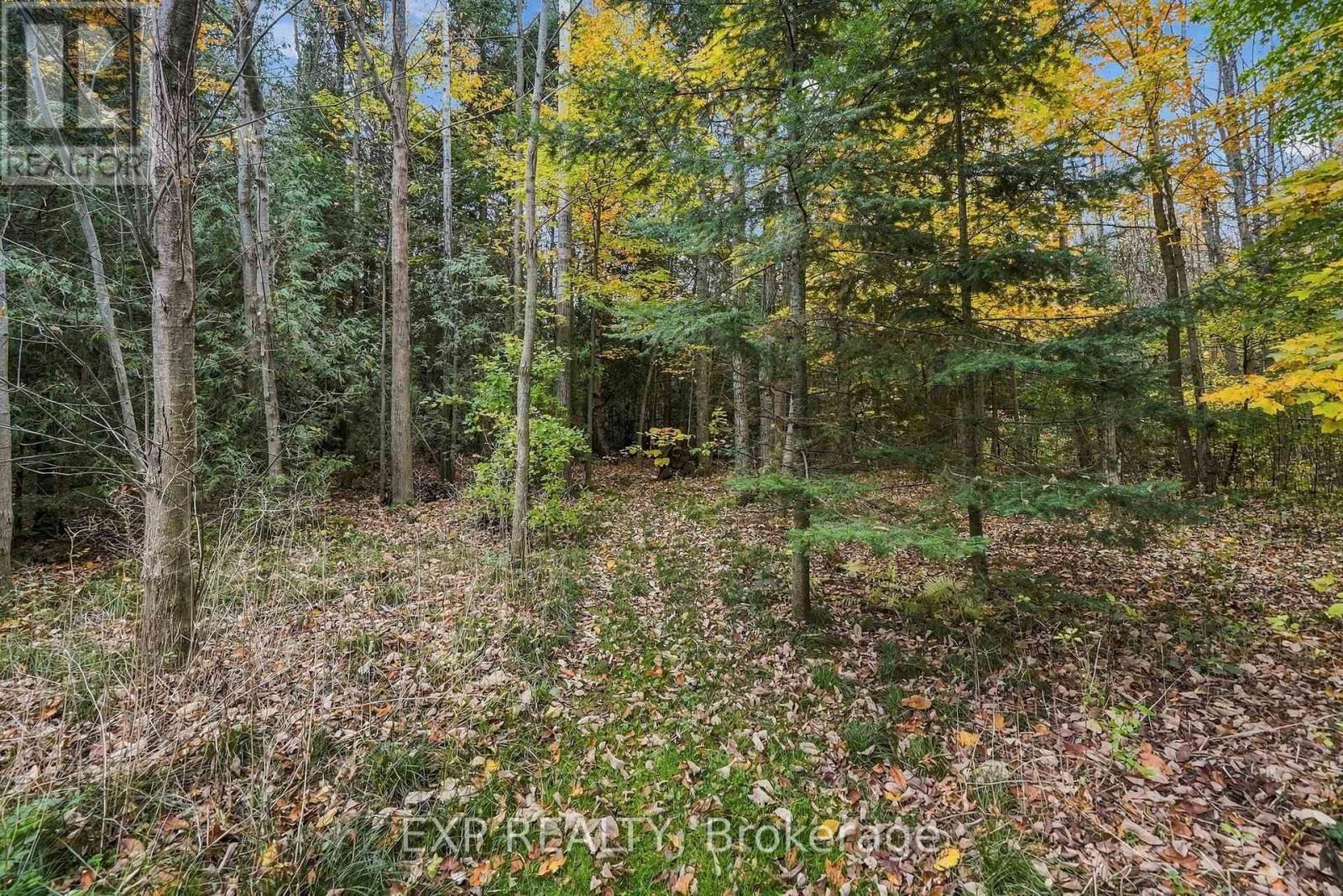 49 Blue Heron Drive Property Photo 44
