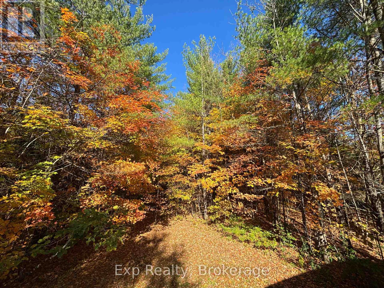 794 Pinegrove Road Property Photo 3
