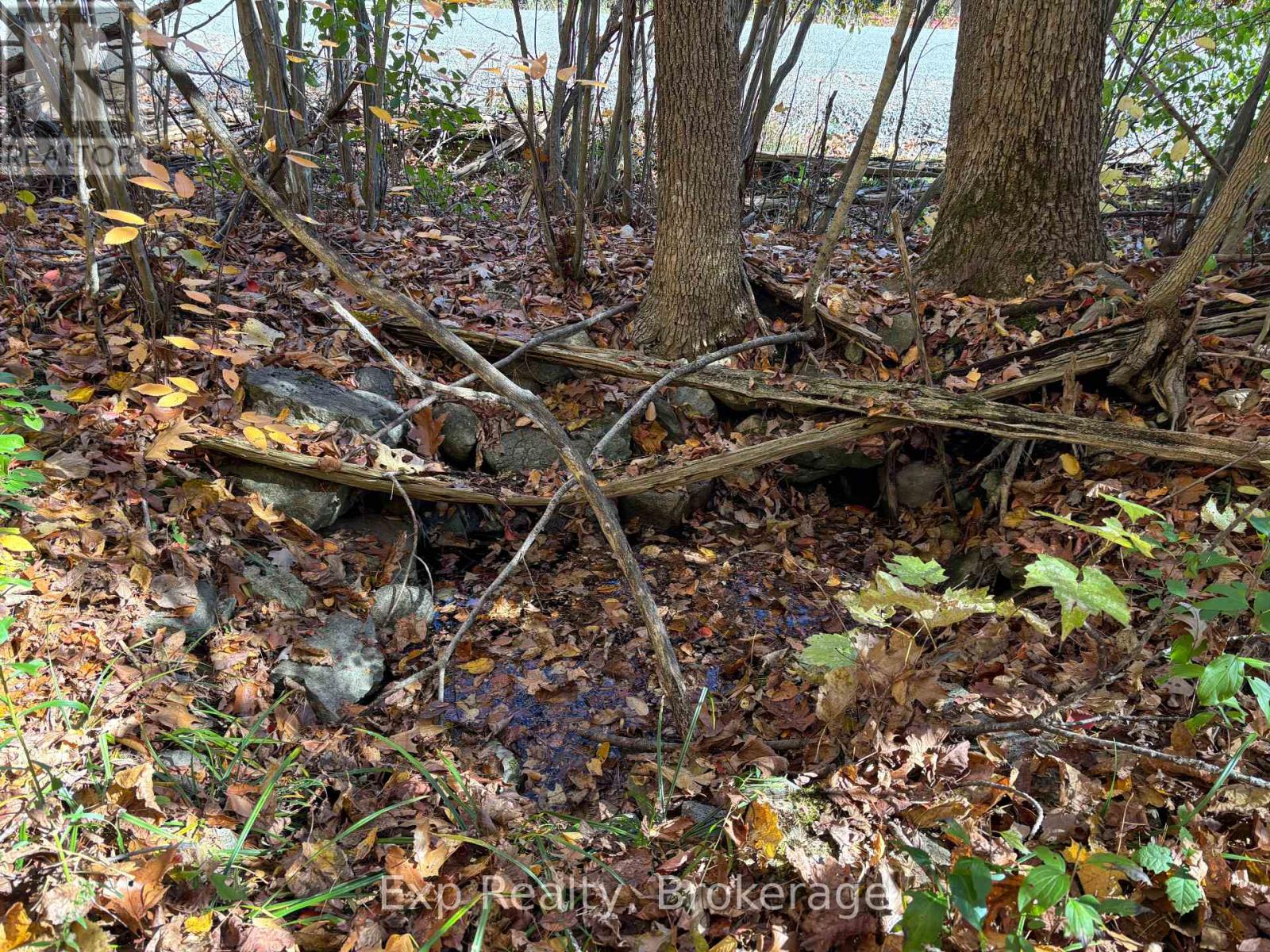 794 Pinegrove Road Property Photo 6