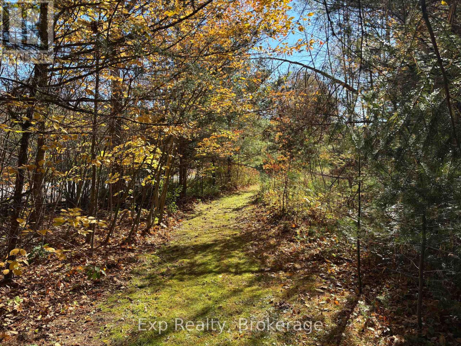 794 Pinegrove Road Property Photo 7