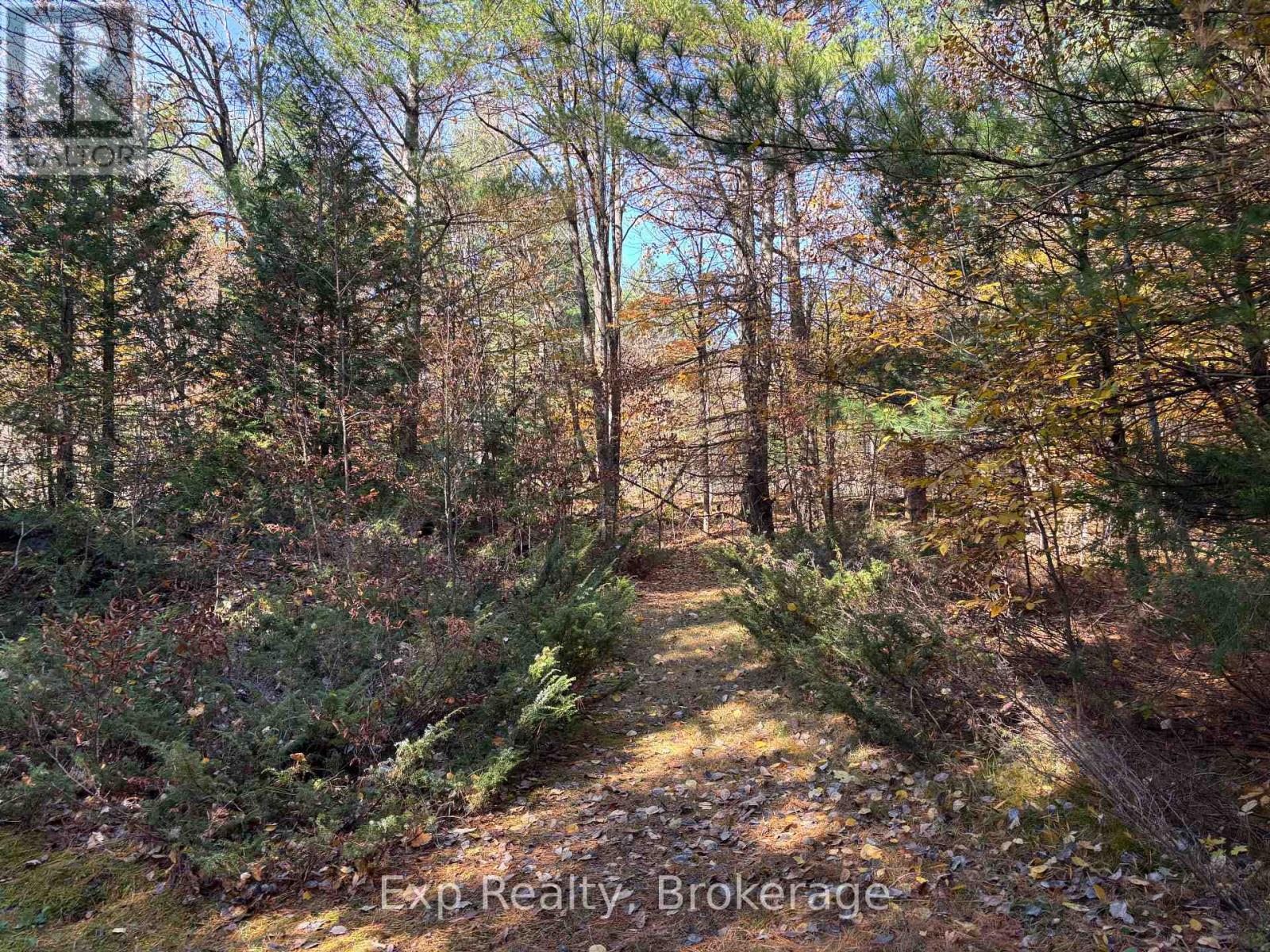 794 Pinegrove Road Property Photo 8