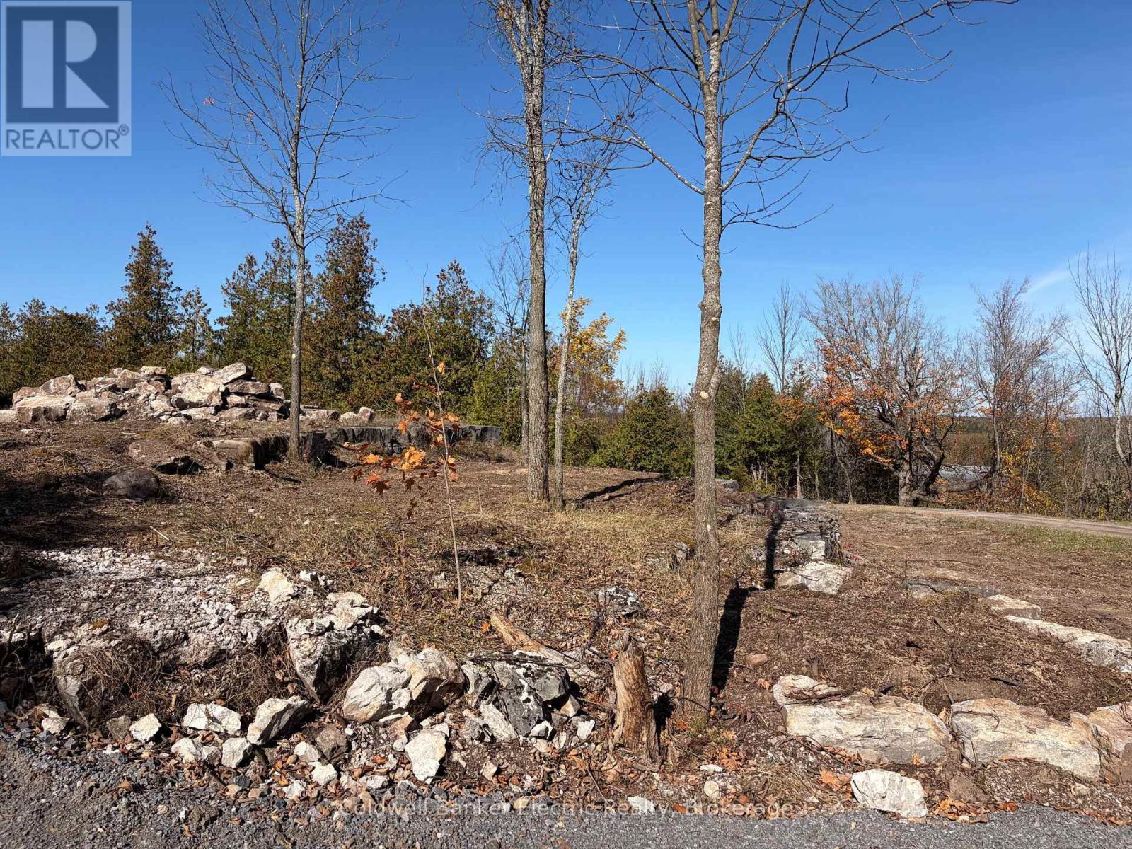 237 Tower Road Property Photo 6