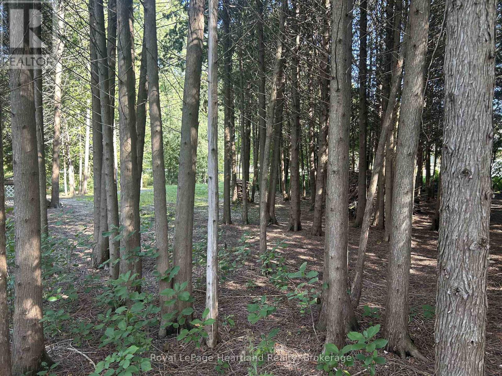 90 Mary Street Property Photo 43