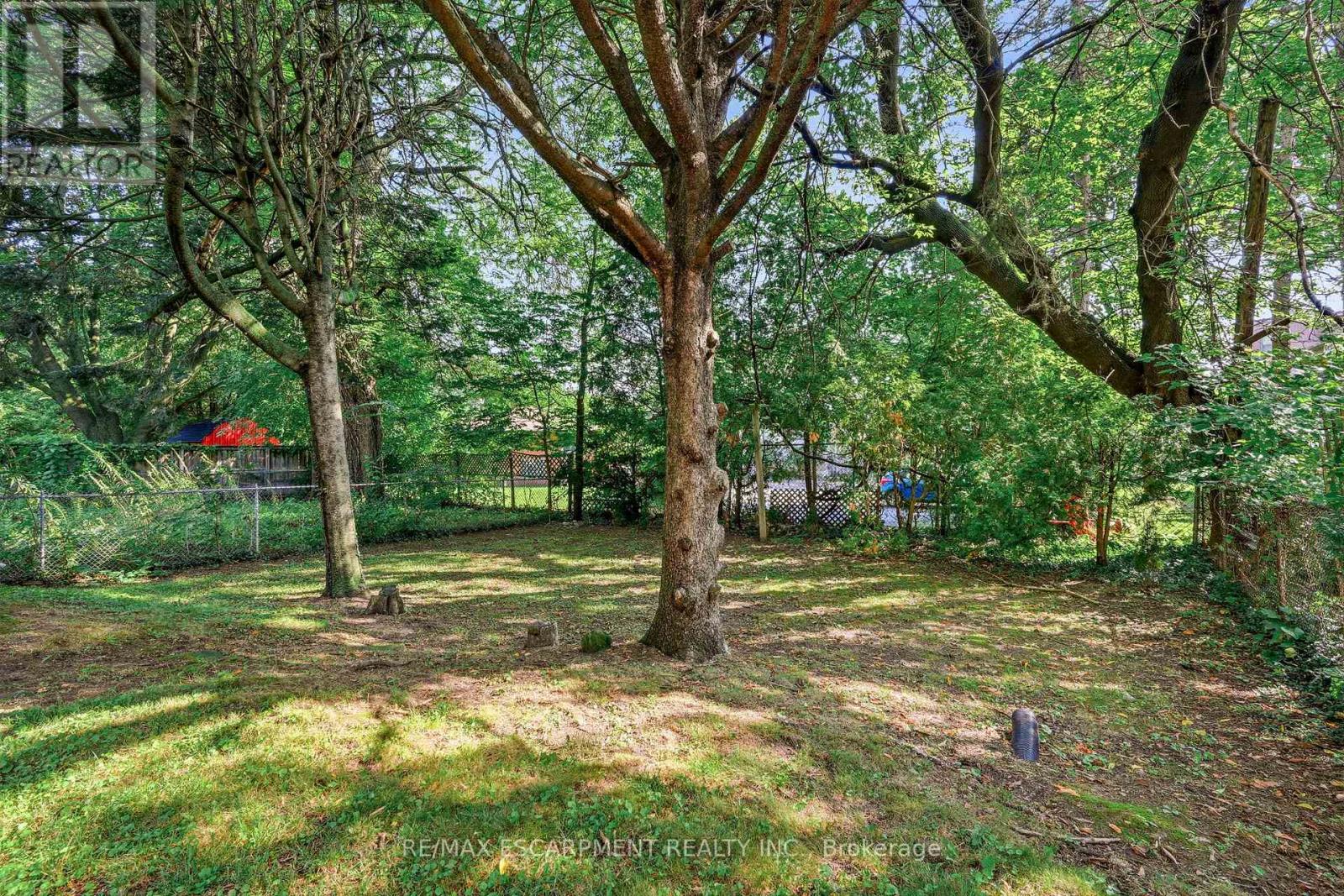 13 Allan Avenue Property Photo 21