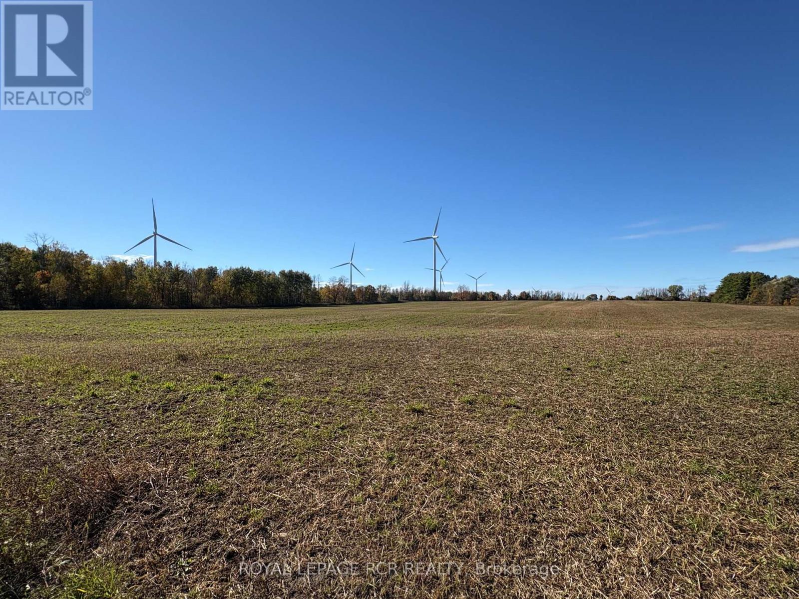 349 20 Side Road Property Photo 20