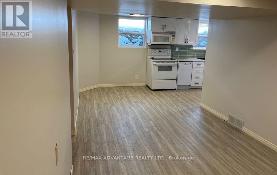 Lower - 143 Downing Crescent Property Photo 4