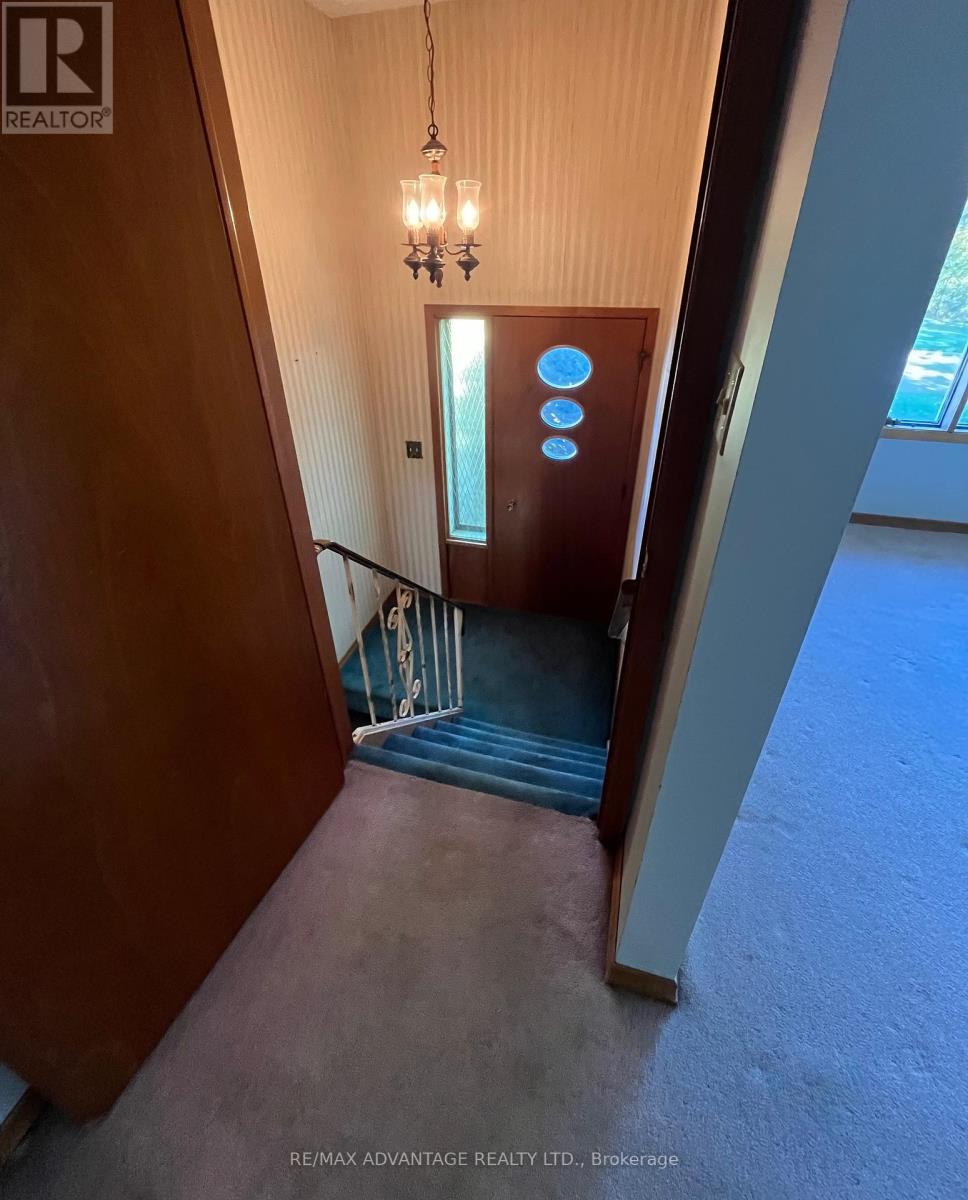 6 William Street Property Photo 20