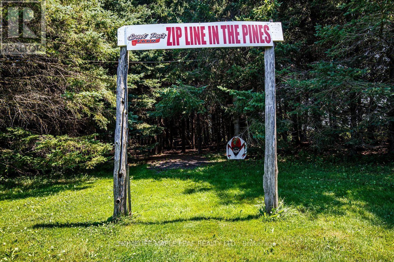 333329 7th Line Property Photo 41