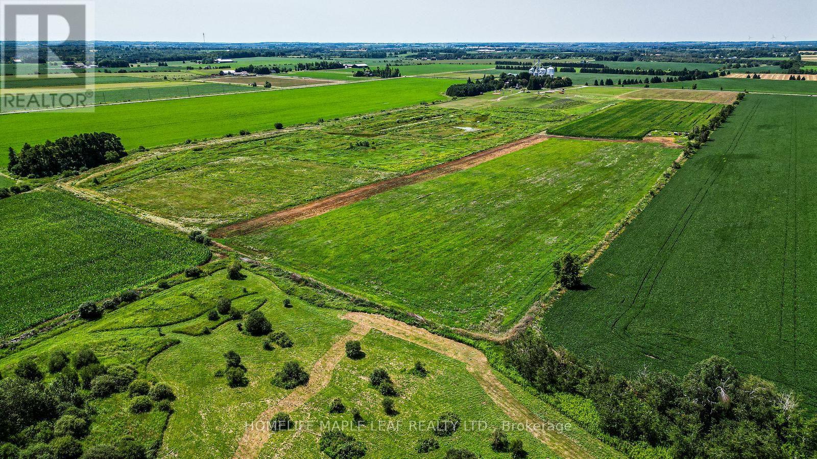 333329 7th Line Property Photo 46