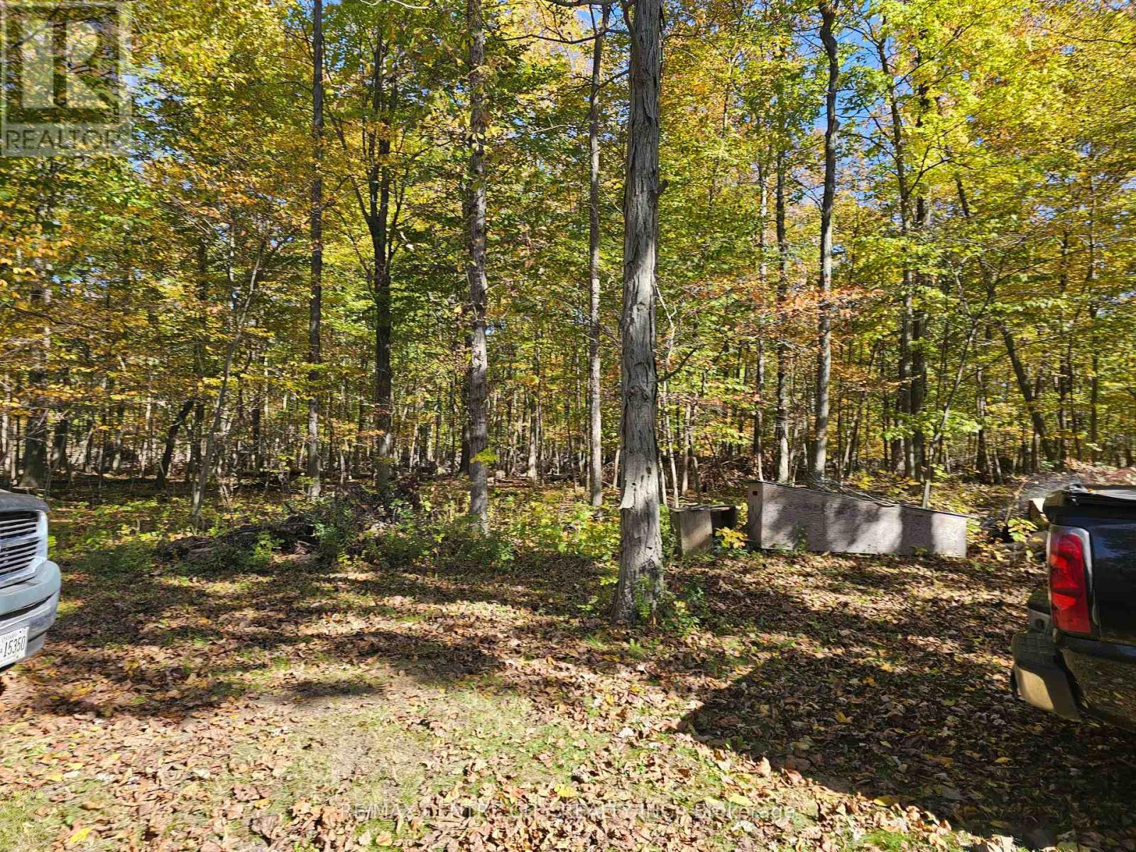 39306 Bush Line Property Photo 2