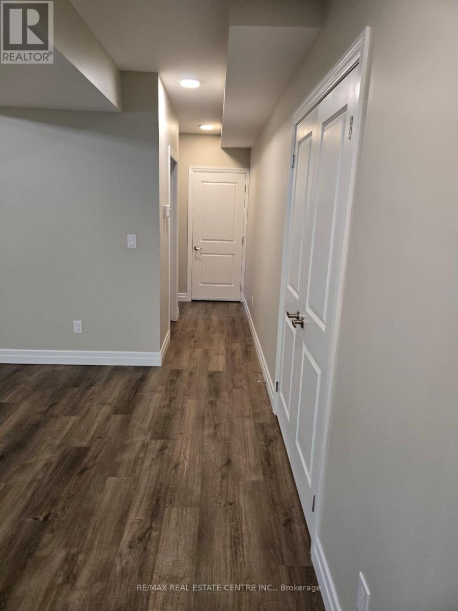 Lower - 160 Beck Street Property Photo 2