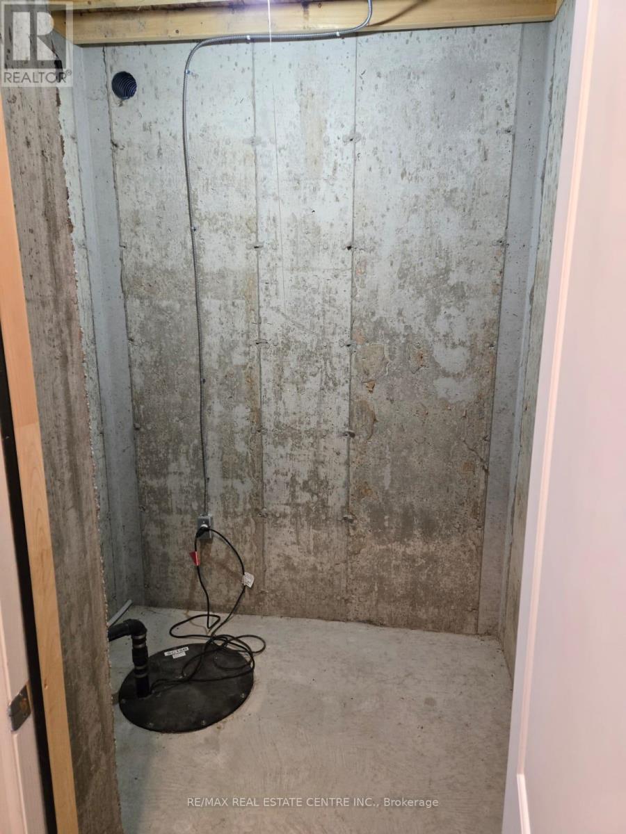 Lower - 160 Beck Street Property Photo 22