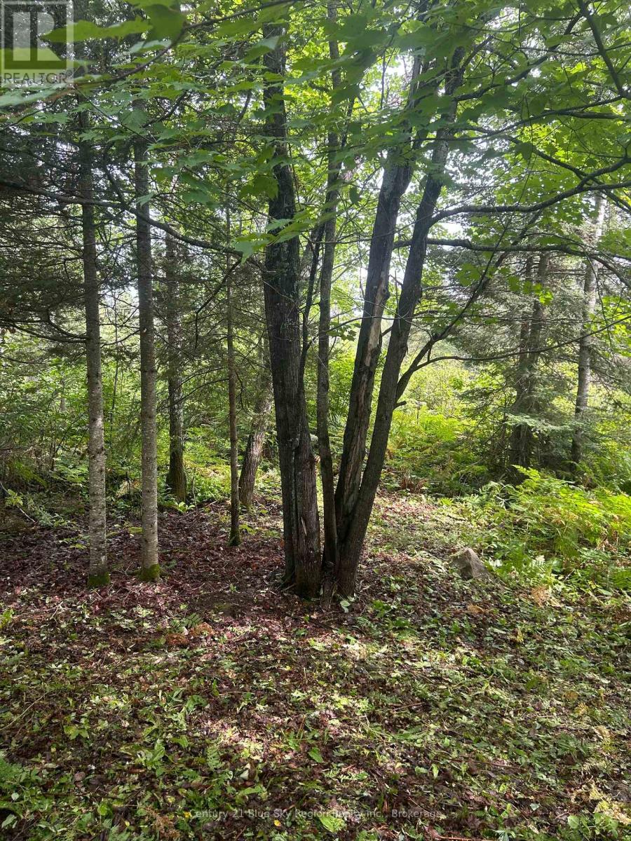 Part Lot 4 Highway 64 Property Photo 7