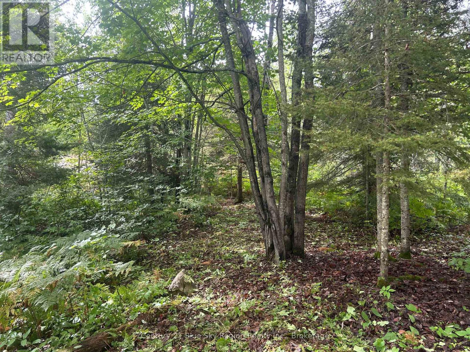 Part Lot 4 Highway 64 Property Photo 8