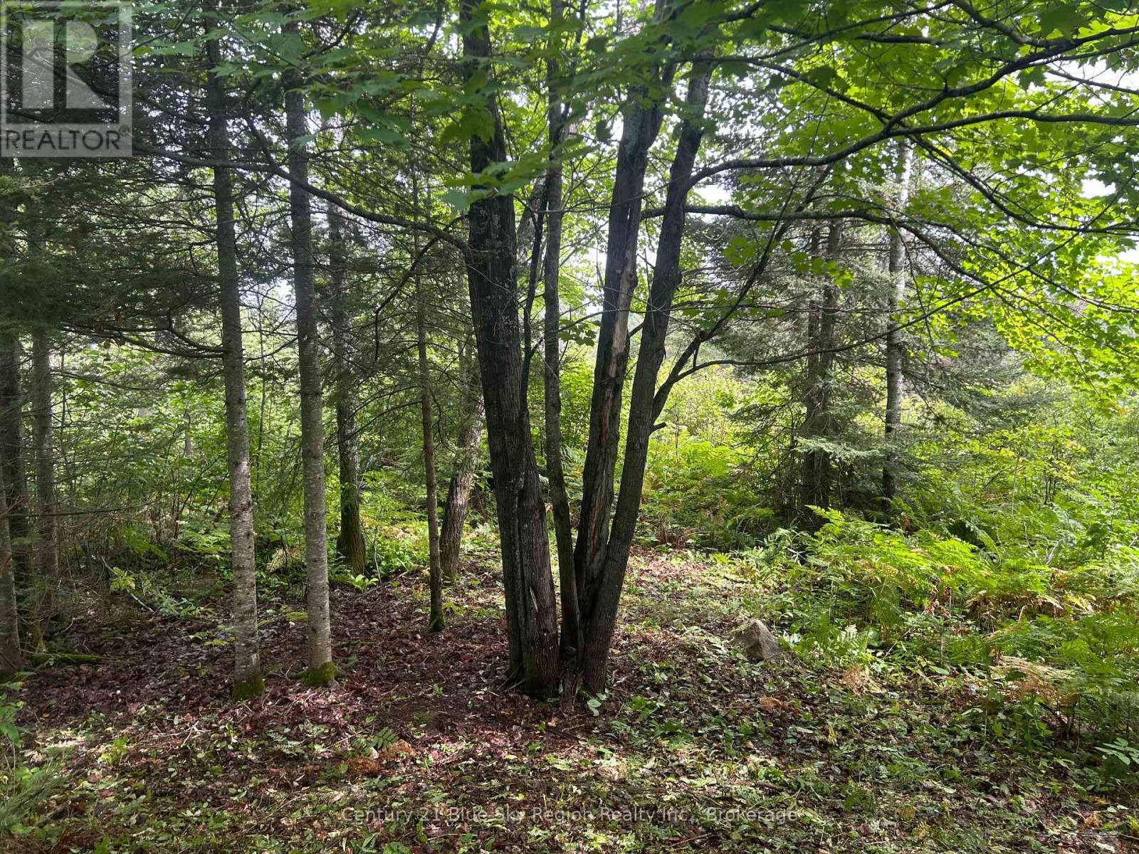 Part Lot 4 Highway 64 Property Photo 9