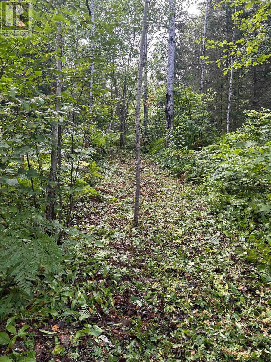 Part Lot 4 Highway 64 Property Photo 11