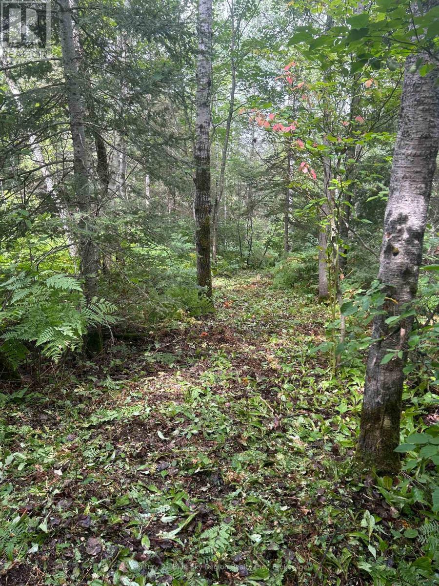 Part Lot 4 Highway 64 Property Photo 13
