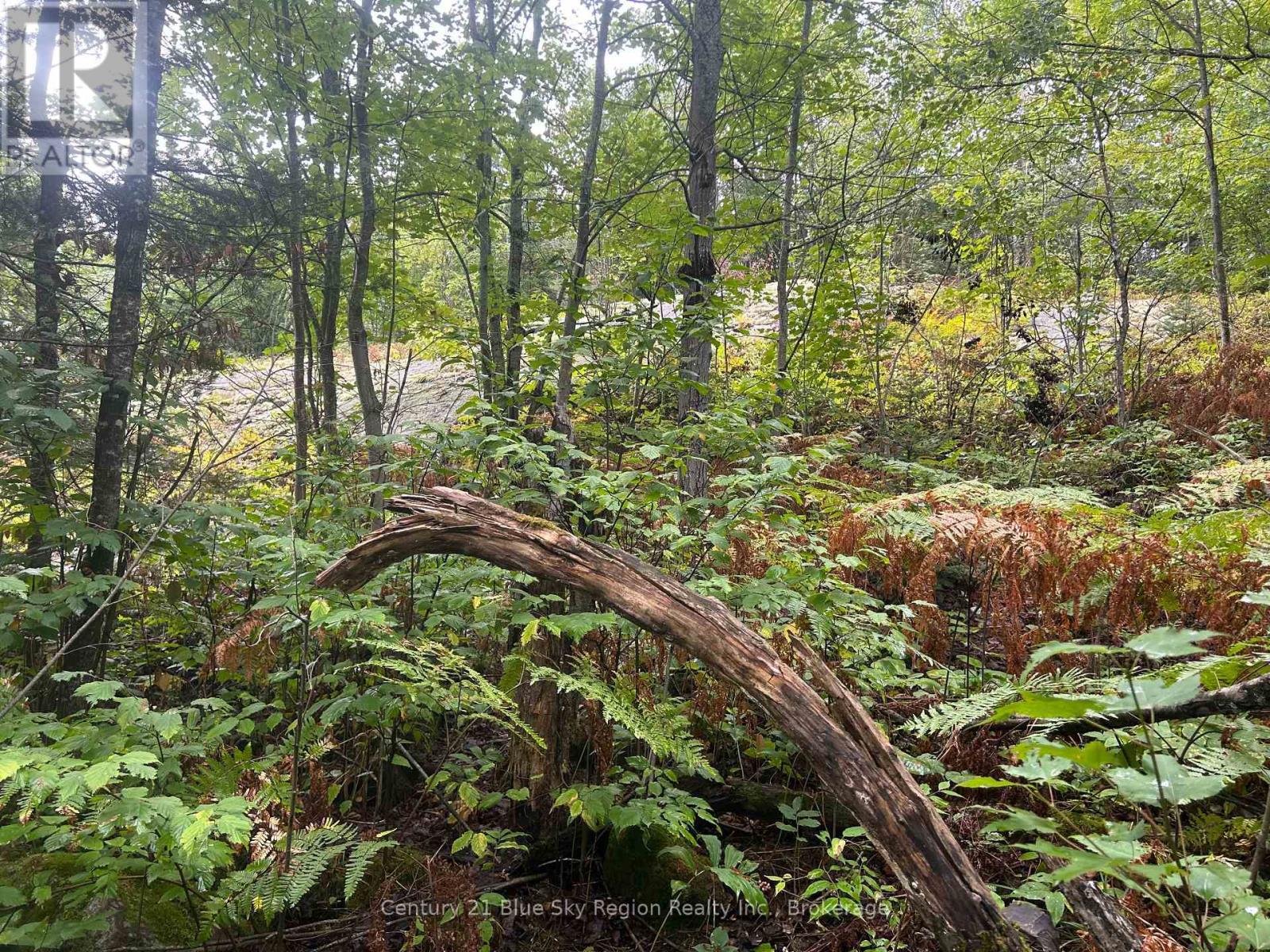 Part Lot 4 Highway 64 Property Photo 14