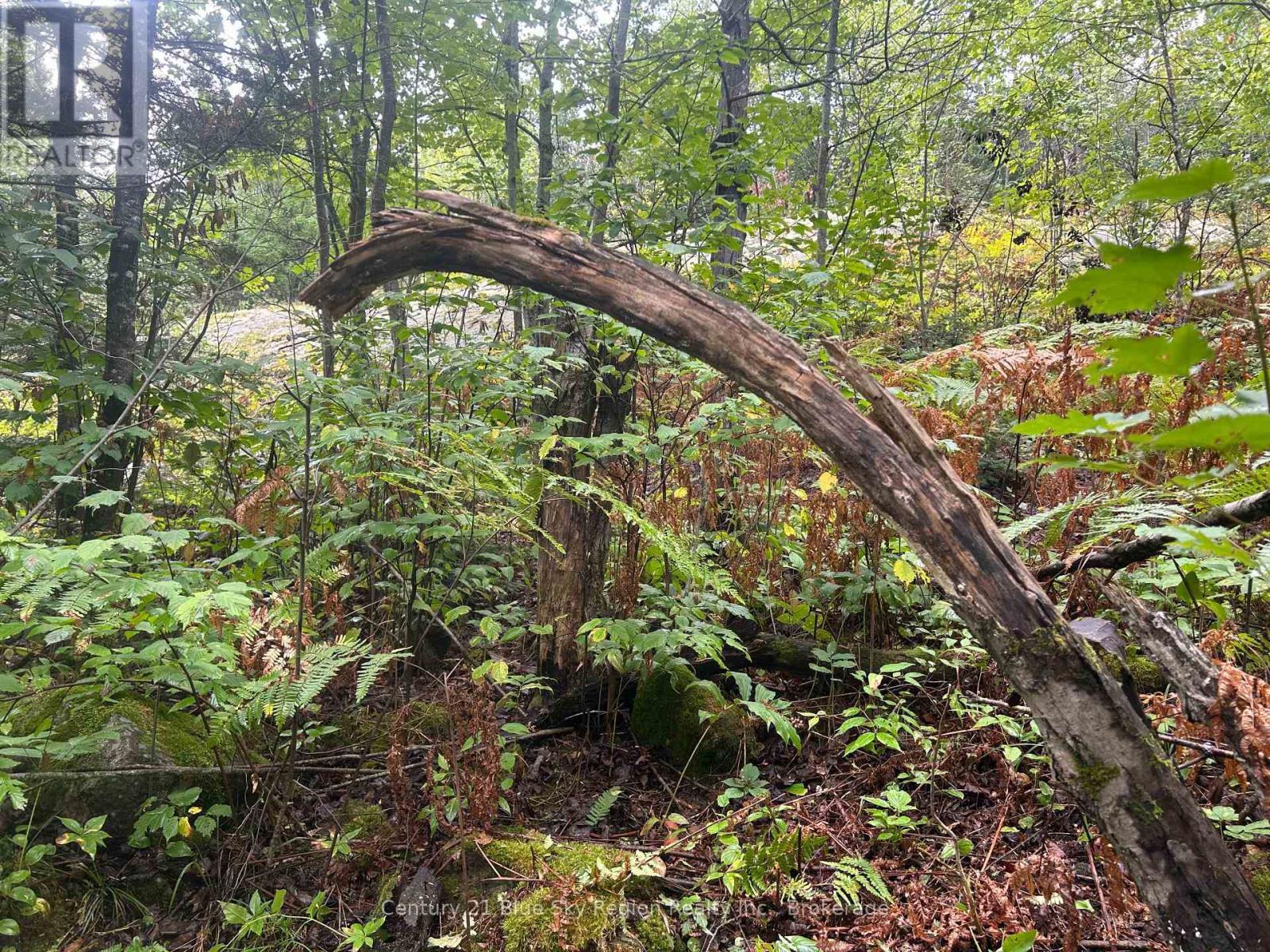 Part Lot 4 Highway 64 Property Photo 15