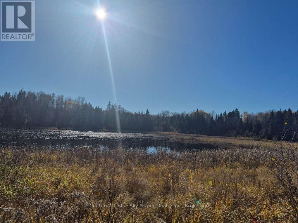 Part Lot 4 Highway 64 Property Photo 22
