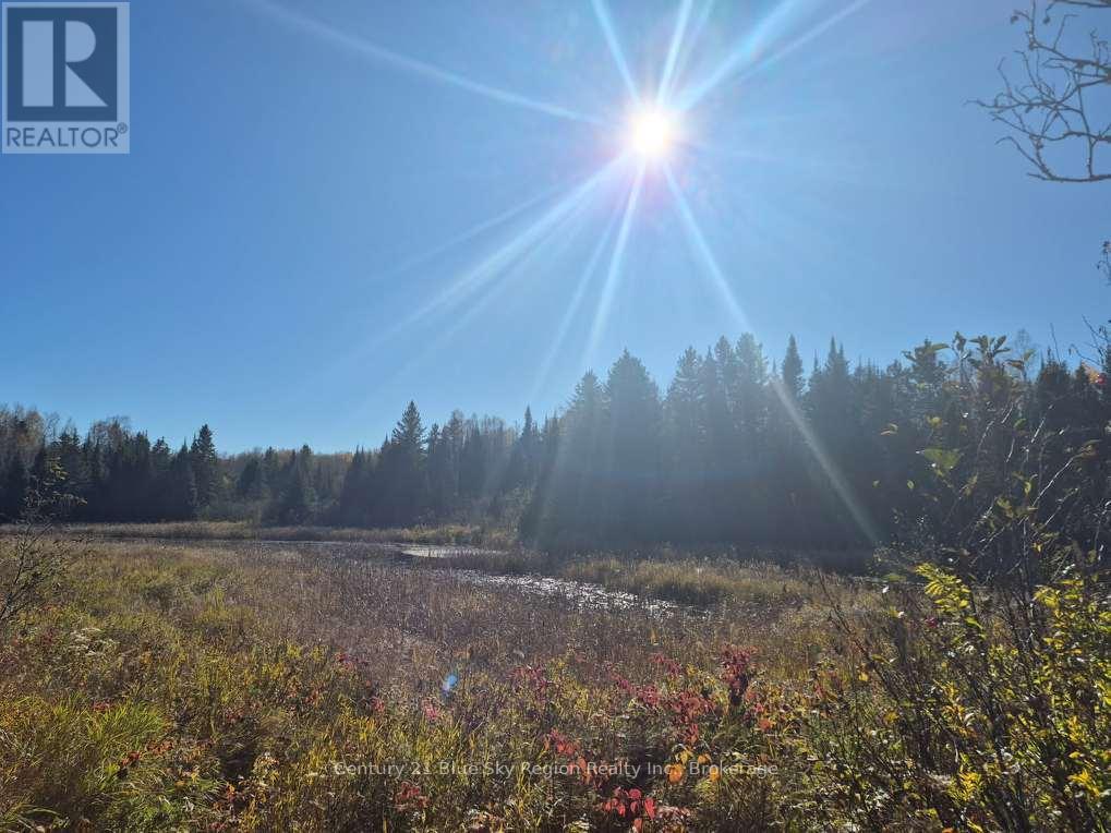 Part Lot 4 Highway 64 Property Photo 23