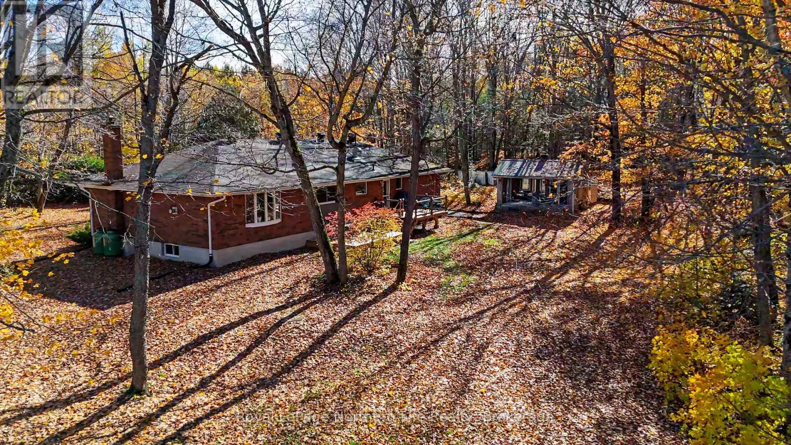 23 Springdale Drive Property Photo 2