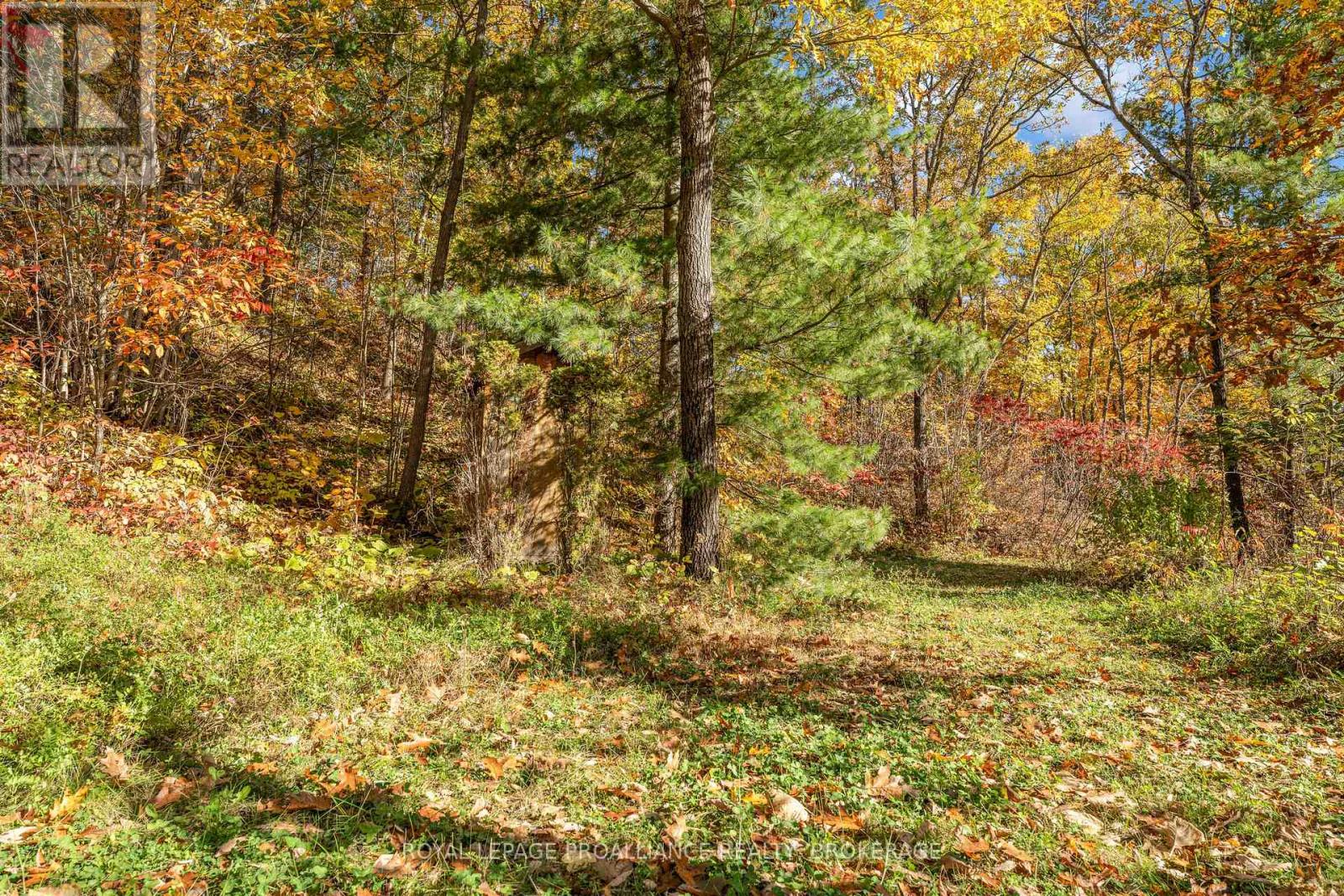 2089 Crow Lake Road Property Photo 40