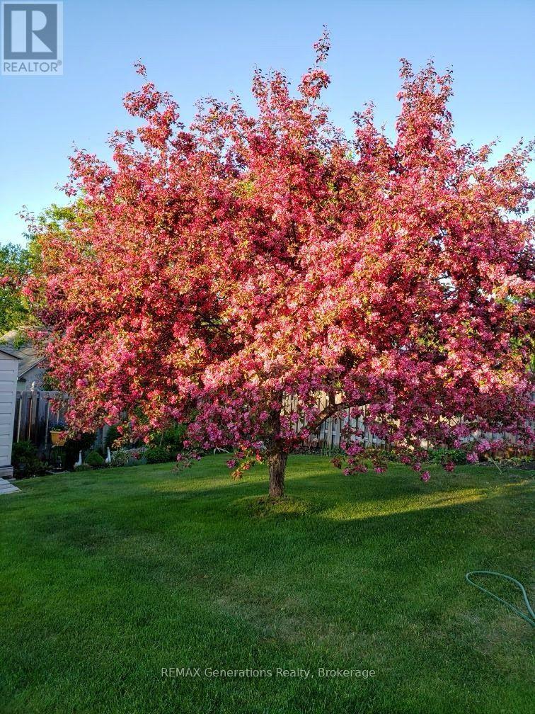 3 Cedar Walk Property Photo 35