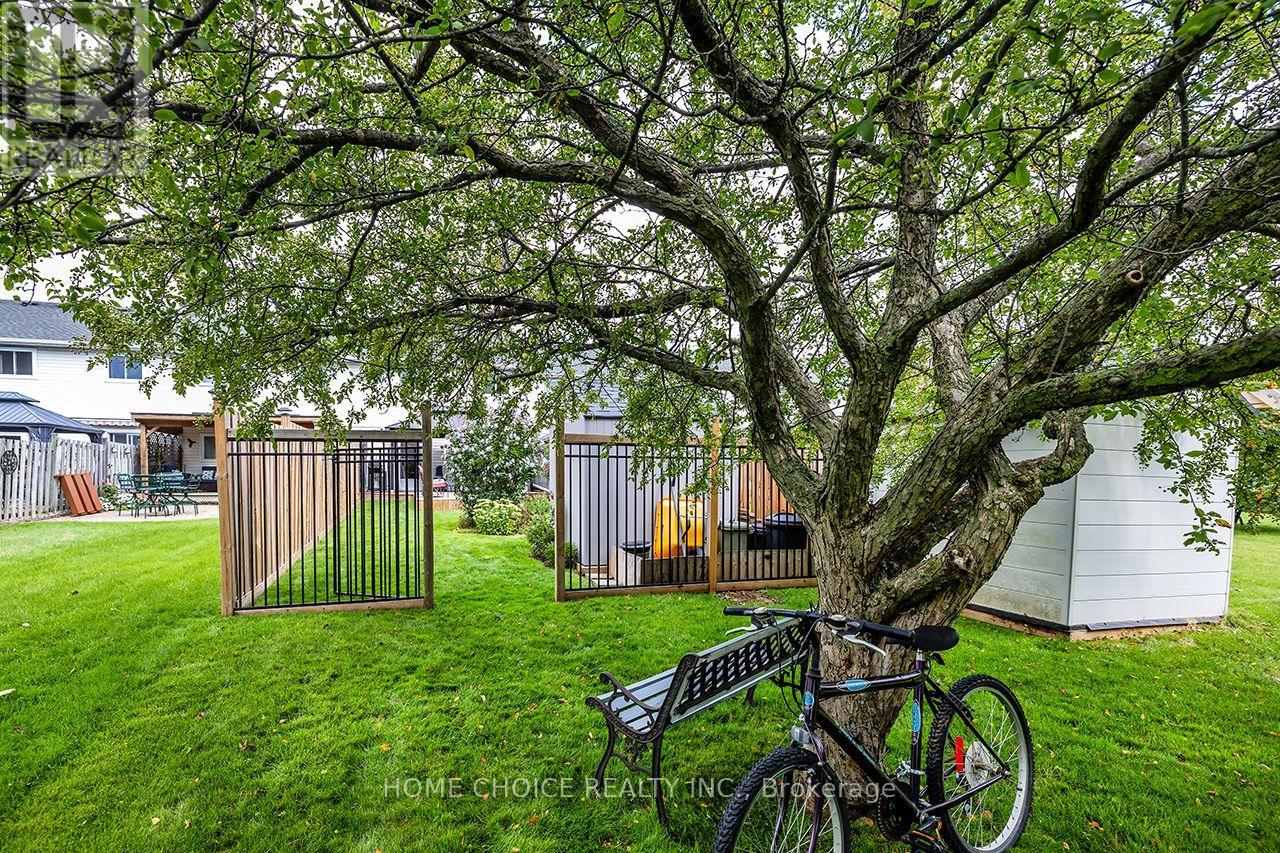 43 Ballantine Street Property Photo 30