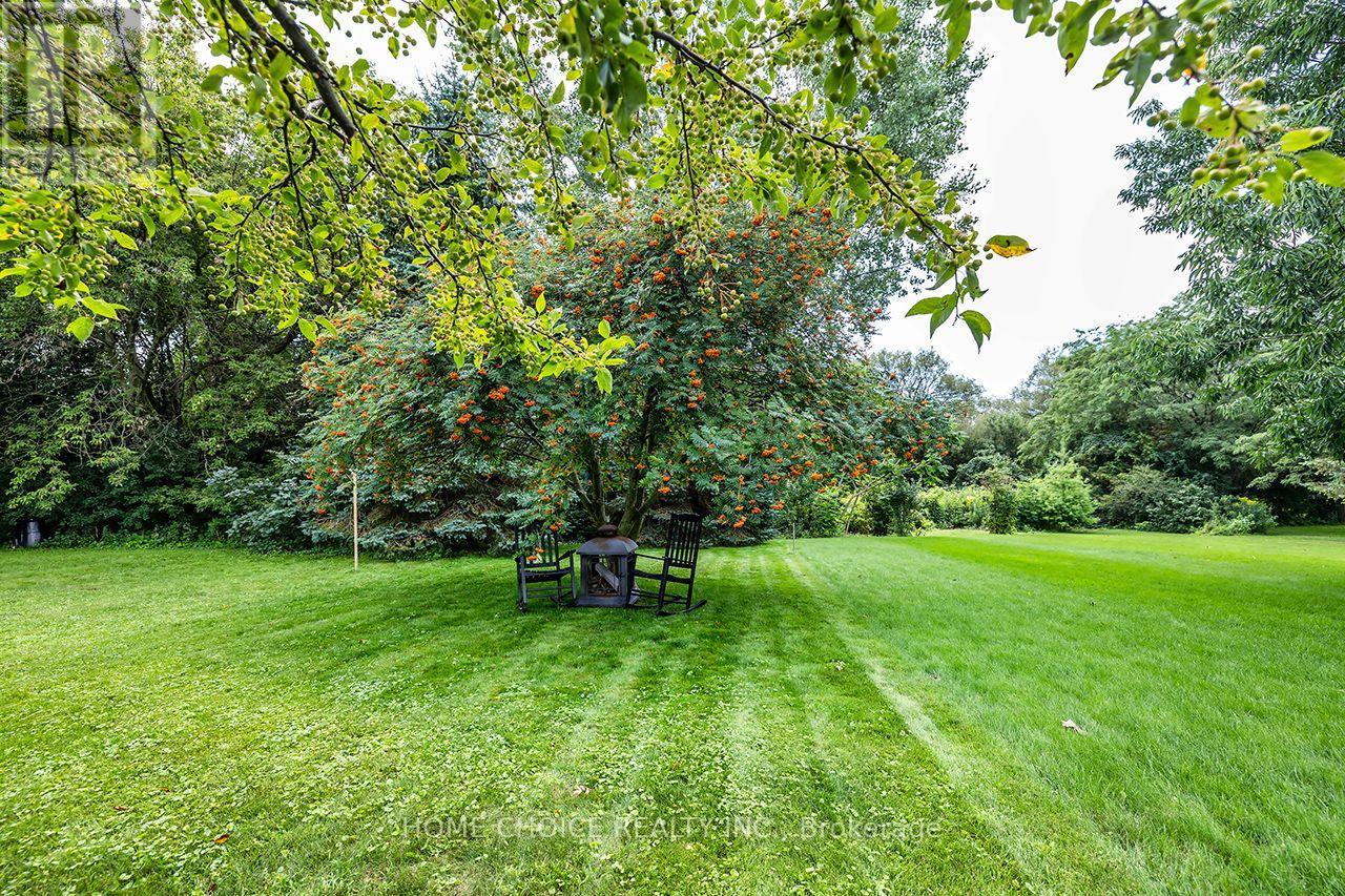 43 Ballantine Street Property Photo 31