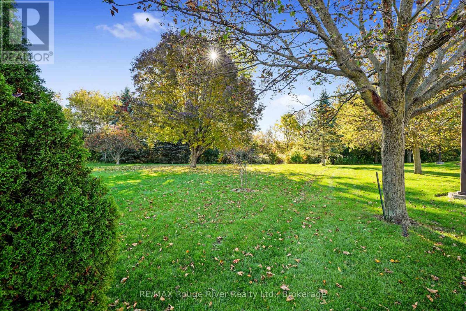 49 Ballantine Street Property Photo 39