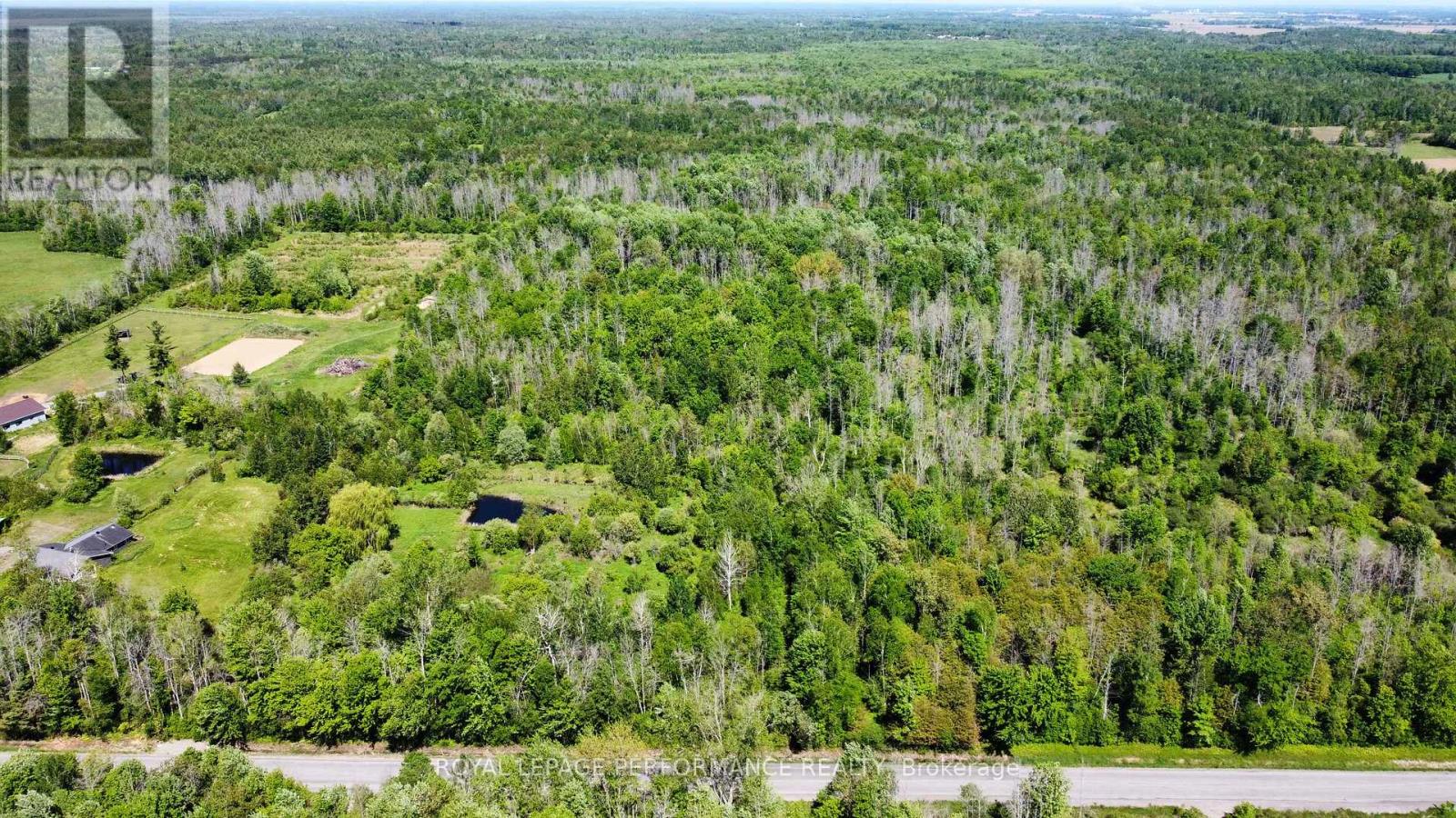 3255 Paden Road Property Photo 4