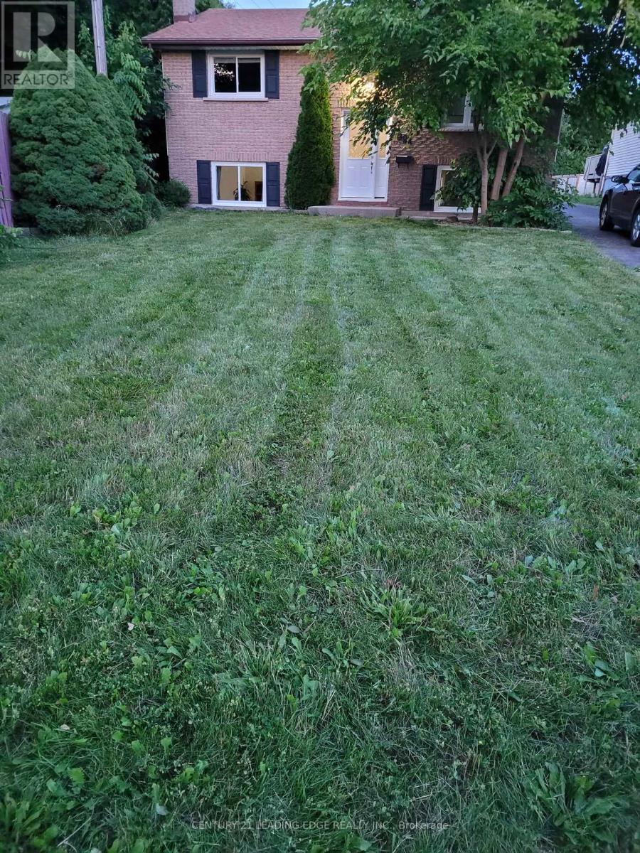 Lower - 99a Prospect Hill Property Photo 17