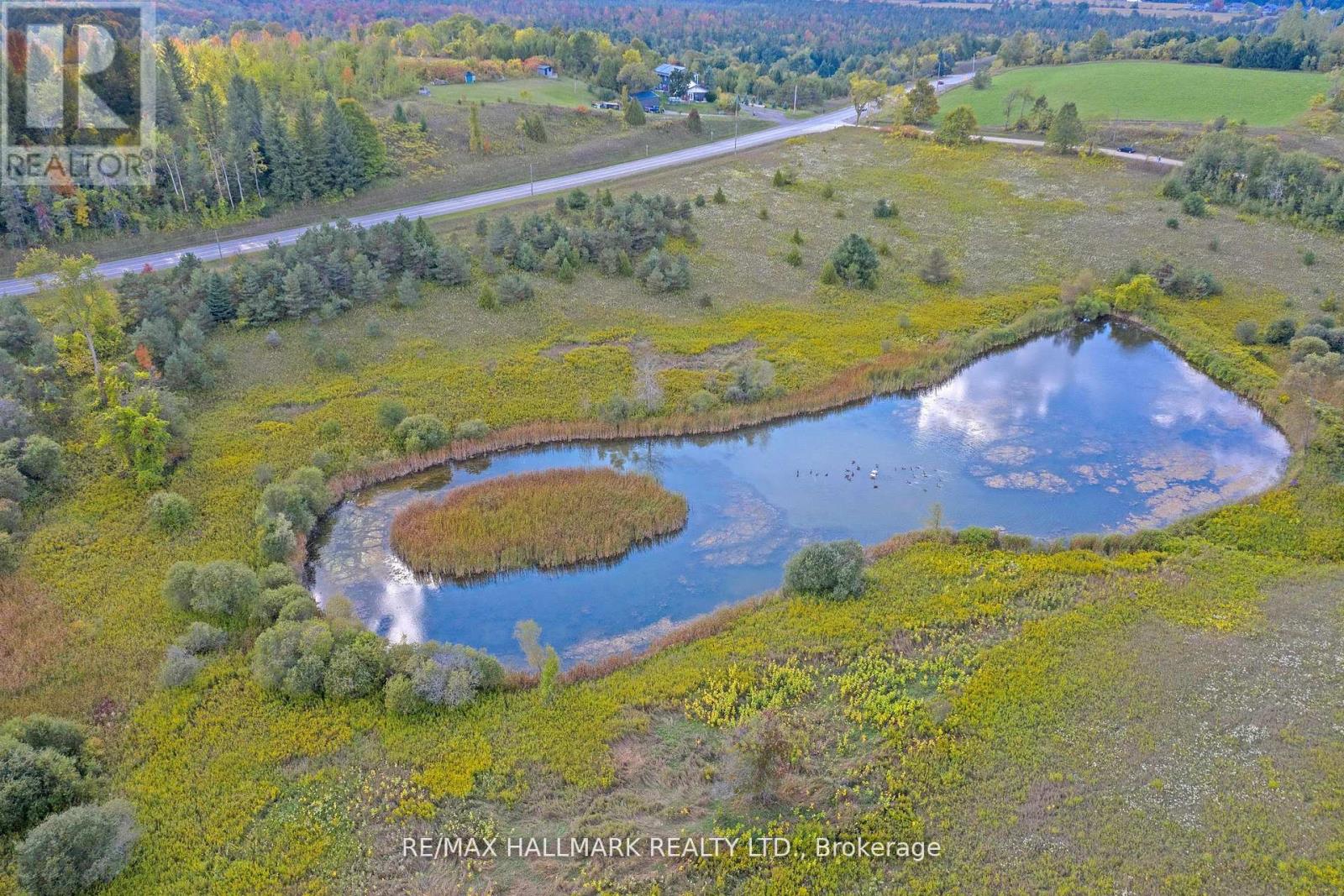 5285 Trafalgar Road Property Photo 10