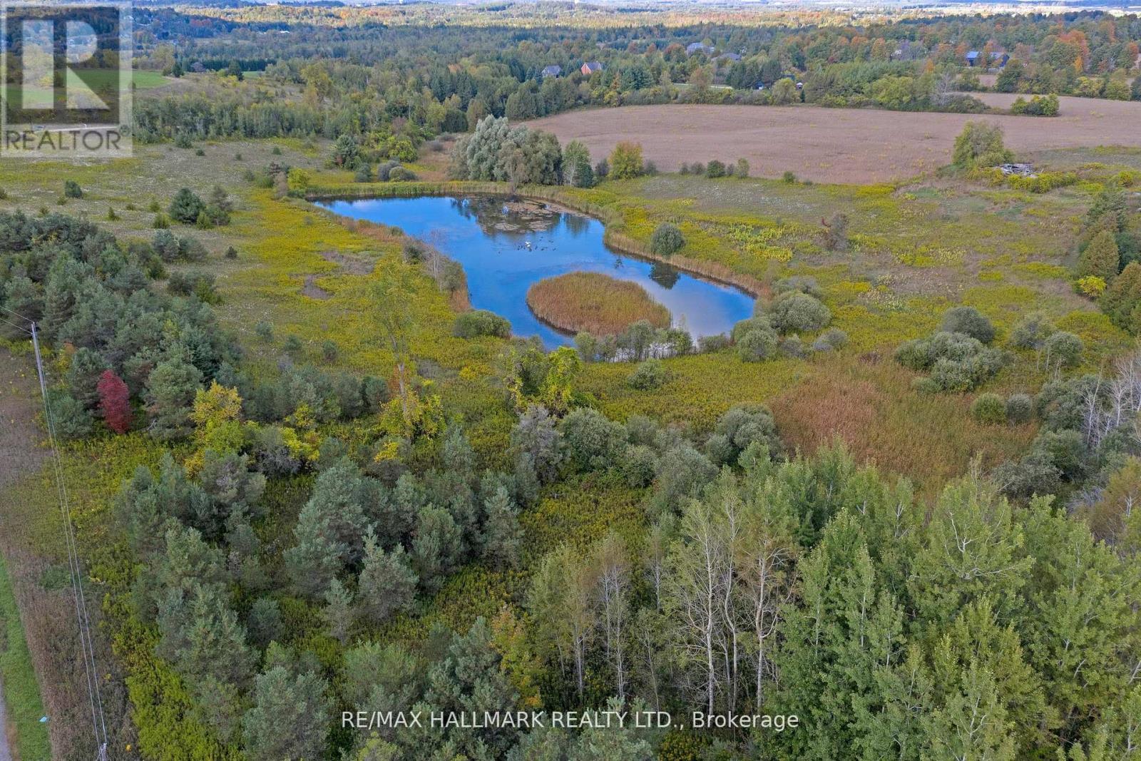 5285 Trafalgar Road Property Photo 13