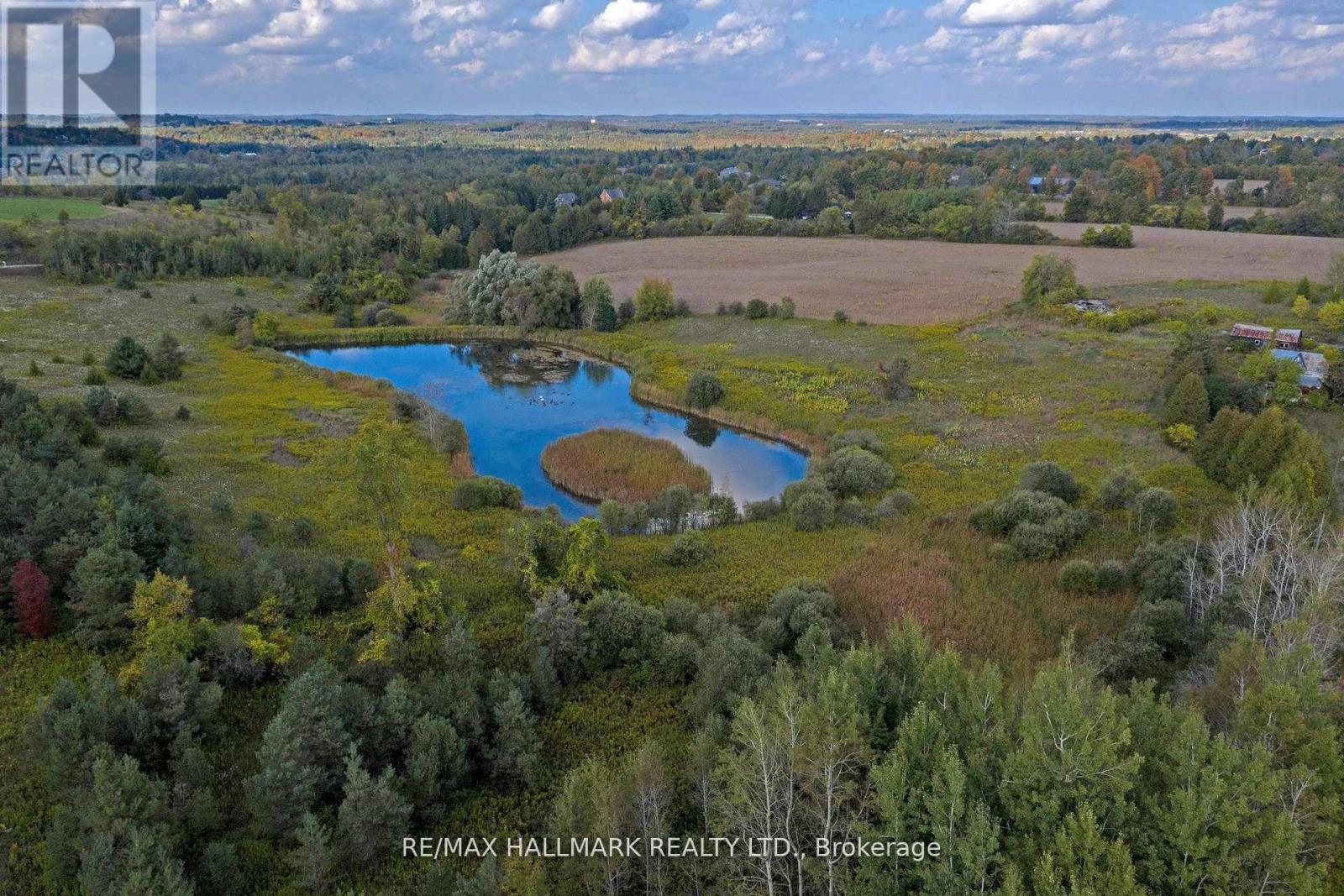 5285 Trafalgar Road Property Photo 14