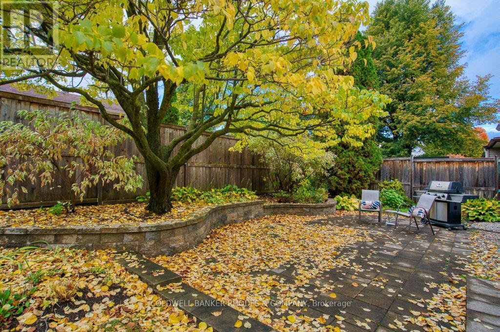 34 Gavin Street Property Photo 3