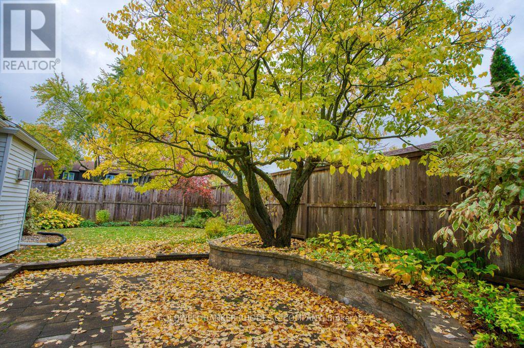 34 Gavin Street Property Photo 44