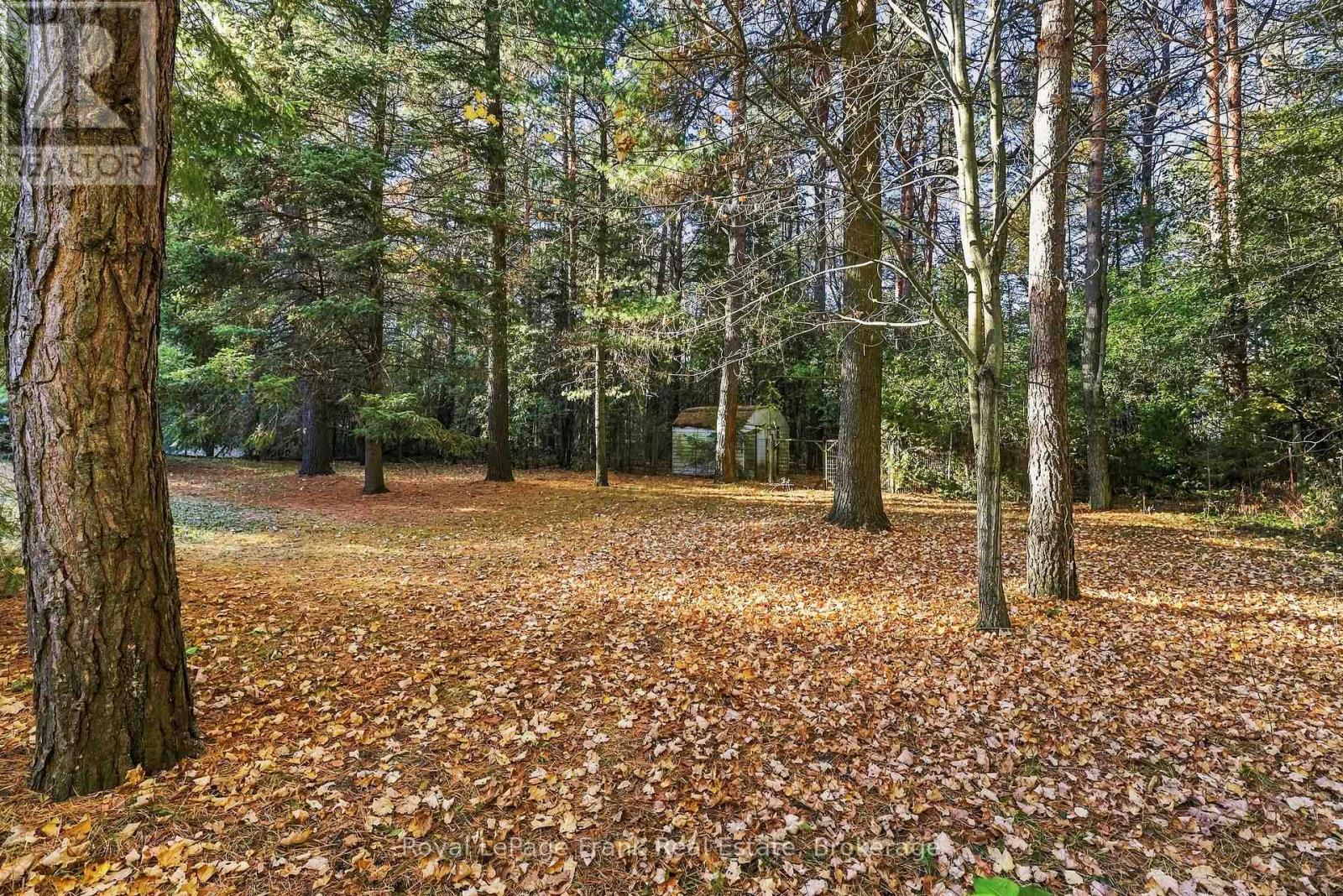 103 Waite Road Property Photo 33