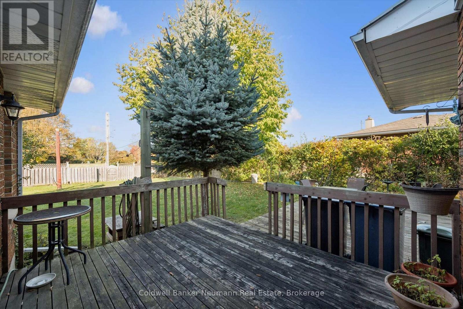 48 Westminster Avenue Property Photo 29