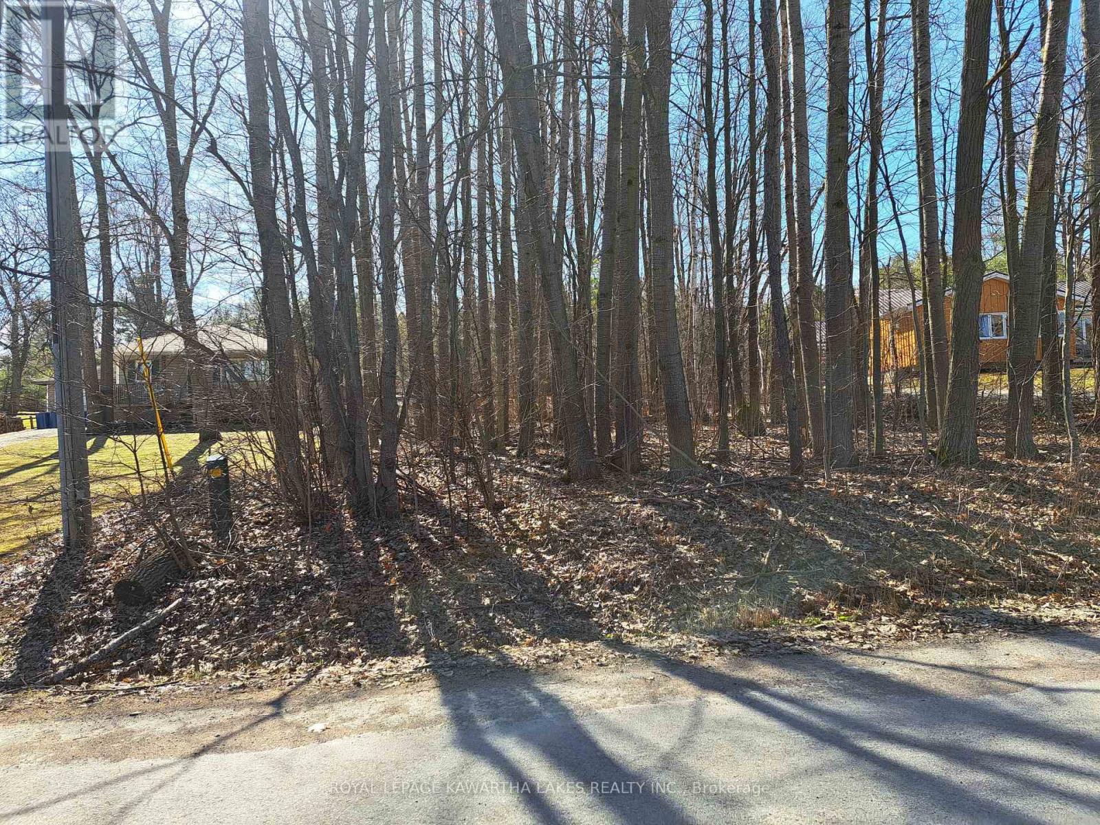0 POPLAR DRIVE Property Photo 1