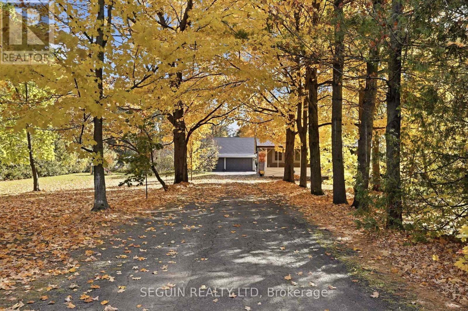 1353 Ritchance Road Property Photo 2