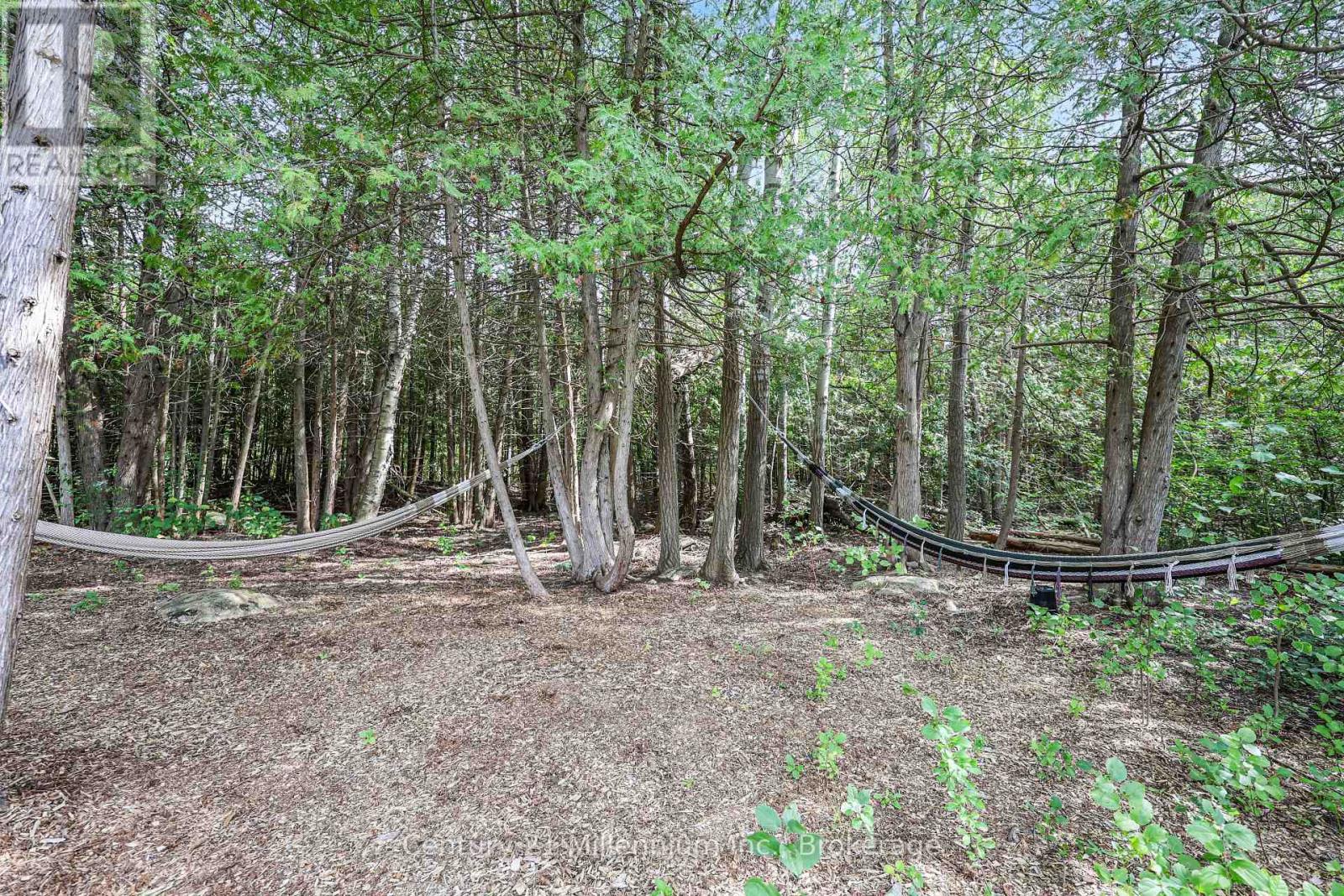 103 Tekiah Road Property Photo 42