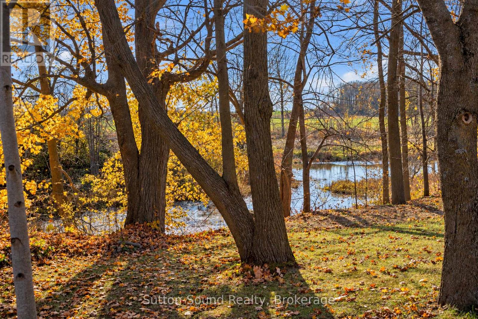 229 6th Concession Property Photo 8